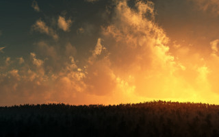 Plane forest cloudy sky sunset 2 - sunset time free wallpaper for desktop