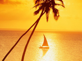 Sailboat ocean sunset palm tree 2 - a yellow sky free wallpaper