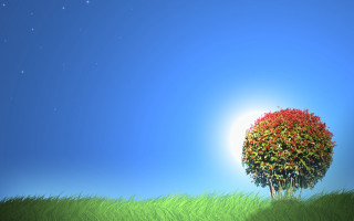 Tree grassy field sun blue - star above free wallpaper for desktop
