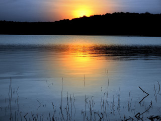 Sunset lake trees clouds sky 2 - lake free wallpaper