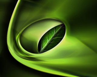 Green leaf background swirl center 2 - a green swirl free wallpaper