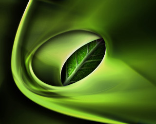 Green leaf green background green - a green swirl free wallpaper