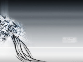 Black white jellyfish water blurry - a blurry background of the image free wallpaper