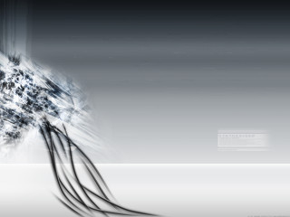 Jellyfish black white water blurry 3 - biomechanical free wallpaper for desktop
