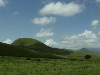 Lone tree green field mountains - a green field free wallpaper for desktop
