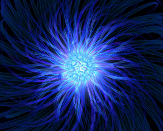 Blue flower black background bioluminescence - a blue center free wallpaper