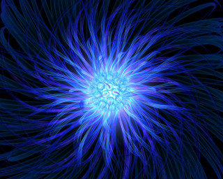 Blue flower black background bioluminescence 3 - a white center free wallpaper