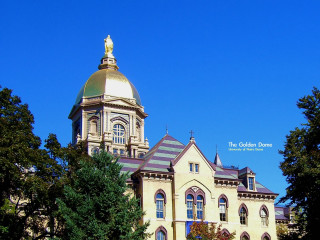 Large building gold dome clock 2 - elaine duillo free wallpaper