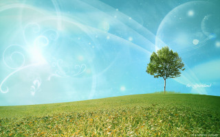 Tree hill blue sky swirly 2 - david brewster free wallpaper for desktop
