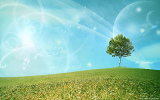 Tree hill blue sky swirly 3 - david brewster free wallpaper