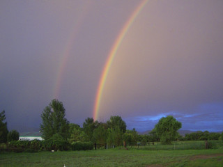 Double rainbow field grass trees 3 - double free wallpaper