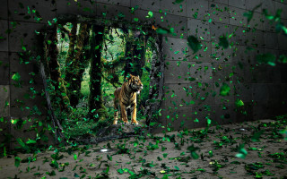 Tiger mirror green leaves confetti 3 - hyperrealistic free wallpaper