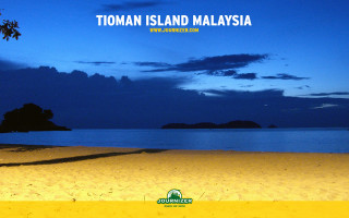 Beach tree blue sky message 4 - charly amani free wallpaper