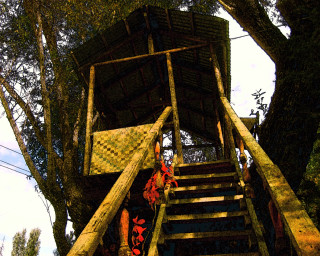 Wooden structure ladder woods trees - a wooden structure free wallpaper