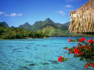 Tropical beach thatched roof flowers 4 - the foreground and mountains free wallpaper