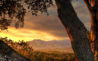 Tree mountain sunset sunrise daytime - a few cloud free wallpaper for desktop