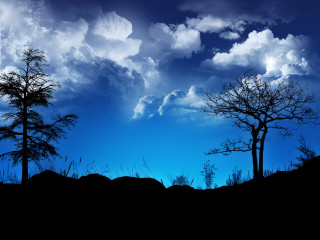 Trees grass cloudy sky blue - a couple of trees free wallpaper