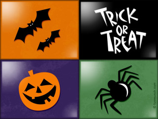 Halloween themed images with spider - pumpkin free wallpaper