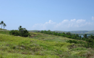 Grassy hill lake palm trees 4 - a grassy hill free wallpaper