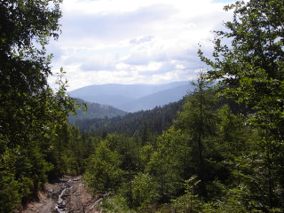 Dirt road trees mountains sky - alen divi free wallpaper