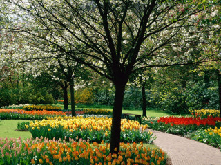 Park path flowers tree nature 3 - dirck de bray free wallpaper