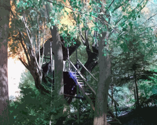 Tree house woods stairs person 4 - a platform free wallpaper