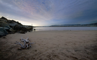 Beach driftwood water cloudy sky 2 - ultra wide angle free wallpaper for desktop