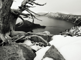 Black white tree snow rocks - ansel adams free wallpaper