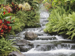 Stream lush vegetation flowers garden - a stream of water free wallpaper