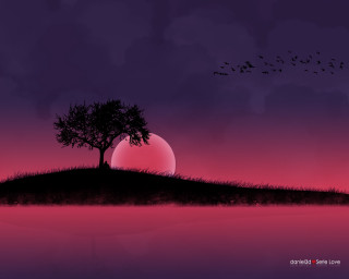 Tree hill sunset birds gothic - a sunset in the background and birds free wallpaper