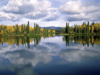 Lake trees clouds forest yellow 2 - yellow leaf free wallpaper