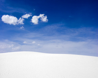 Lone tree white sand dune - single free wallpaper for desktop