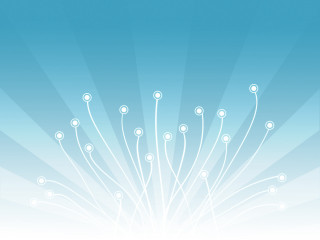 Blue background white flowers sky 3 - a wireframe diagram free wallpaper