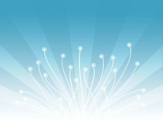 Blue background white flowers sky 4 - a wireframe diagram free wallpaper