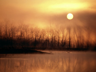 Water trees sun sky clouds 2 - a few cloud free wallpaper for desktop