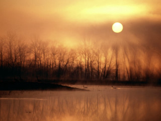 Lake ducks sunset trees moon - sunrise free wallpaper for desktop