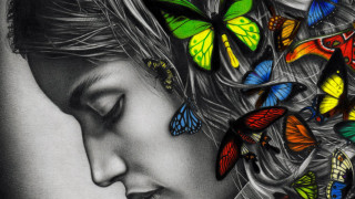 Woman butterflies hair drawing image - her head and a butterfly free wallpaper