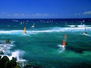 Windsurfing group water sailboats background 2 - top of a body free wallpaper
