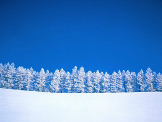 Snow covered hill trees blue 7 - hill free wallpaper