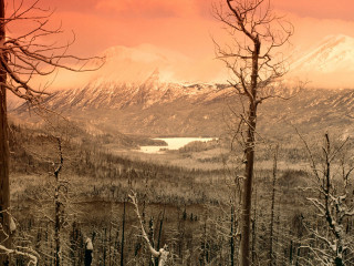 Snowy mountain lake trees red 4 - a red sky in the background free wallpaper