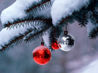 Ornaments hanging tree branch snow 2 - silver free wallpaper