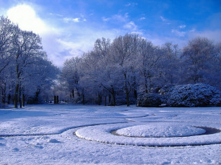 Circular snow path park trees 2 - circular free wallpaper