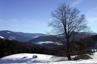 Snowy landscape tree mountains blue 2 - alen divi free wallpaper