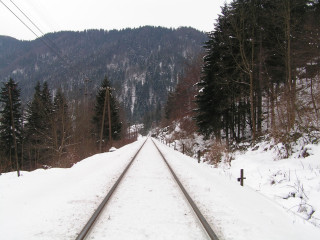 Train track snowy forest mountain - danube school free wallpaper