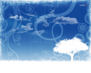 Tree sky clouds red white 2 - the bottom free wallpaper