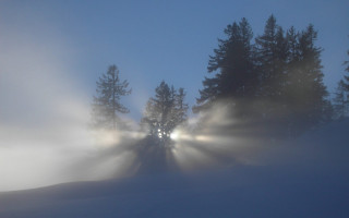 Foggy night light trees snow 5 - the ground and a person free wallpaper