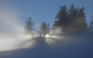 Foggy night light trees snow 8 - the ground and a person free wallpaper