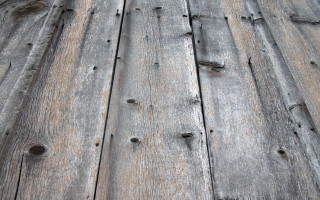 Wooden floor bird back bird - texture free wallpaper