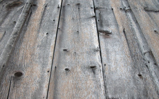 Wooden floor bird back bird 4 - a woodcut free wallpaper