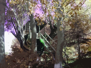 Tree staircase woods leaves painting 7 - ecological art free wallpaper